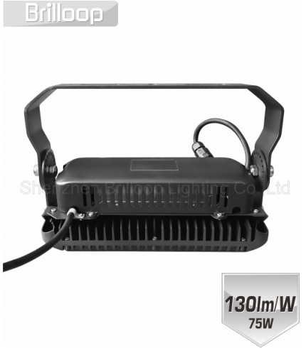 M17: 75W Modular Floodlight